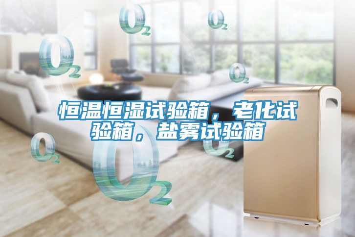 恒温恒湿试验箱，老化试验箱，盐雾试验箱