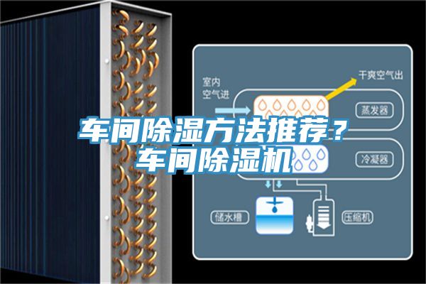 车间除湿方法推荐？车间抖音成人版下载