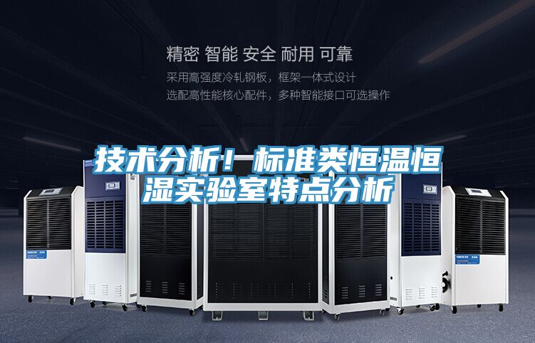 技术分析！标准类恒温恒湿实验室特点分析