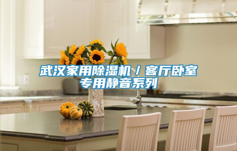 武汉家用抖音成人版下载／客厅卧室专用静音系列