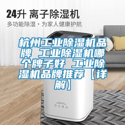 杭州工业抖音成人版下载品牌 工业抖音成人版下载哪个牌子好 工业抖音成人版下载品牌推荐【详解】