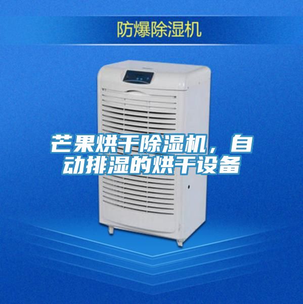 芒果烘干抖音成人版下载，自动排湿的烘干设备