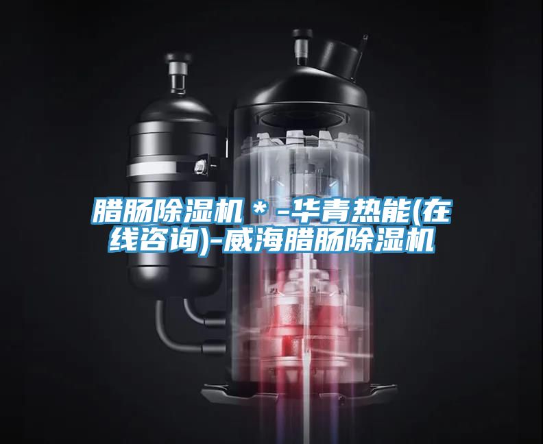 腊肠抖音成人版下载＊-华青热能(在线咨询)-威海腊肠抖音成人版下载