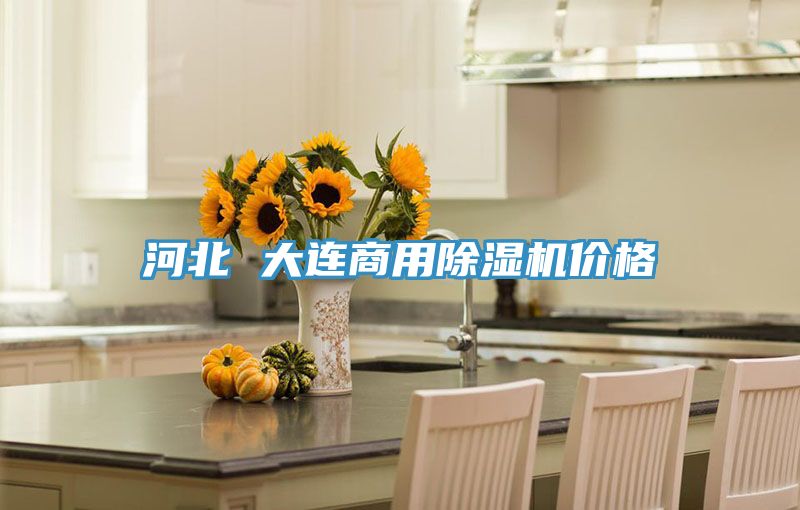 河北 大连商用抖音成人版下载价格