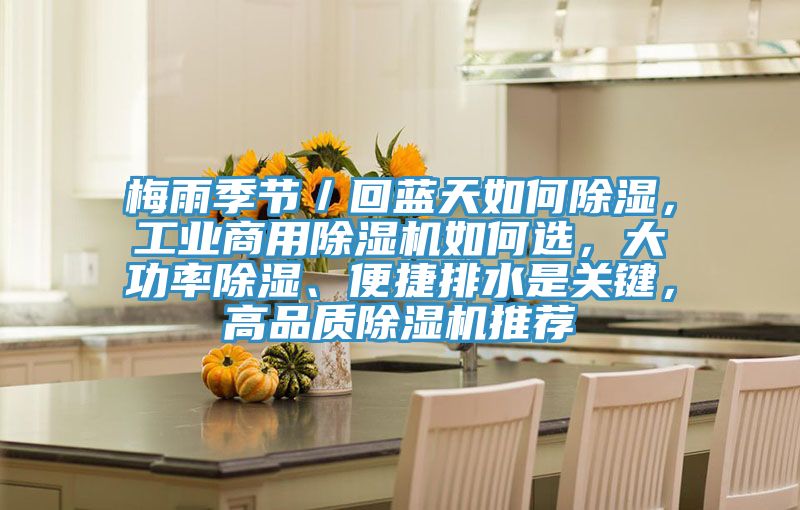 梅雨季节／回蓝天如何除湿，工业商用抖音成人版下载如何选，大功率除湿、便捷排水是关键，高品质抖音成人版下载推荐