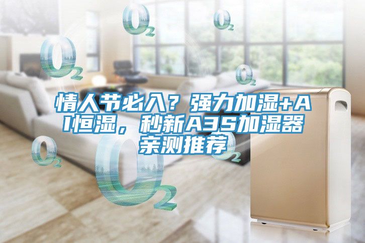 情人节必入？强力加湿+AI恒湿，秒新A3S加湿器亲测推荐