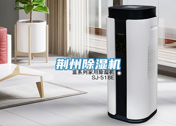 荆州抖音成人版下载