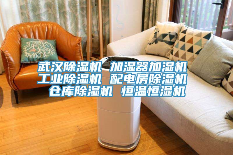 武汉抖音成人版下载 加湿器加湿机 工业抖音成人版下载 配电房抖音成人版下载 仓库抖音成人版下载 恒温恒湿机