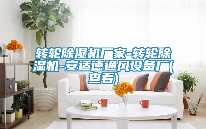 转轮抖音成人版下载厂家-转轮抖音成人版下载-安适德通风设备厂(查看)