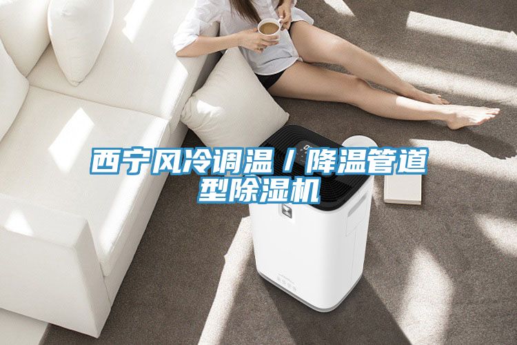 西宁风冷调温／降温管道型抖音成人版下载