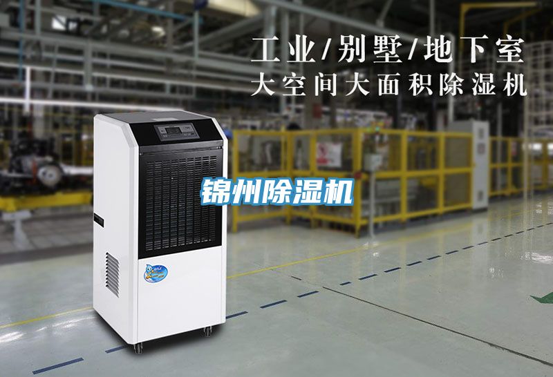 锦州抖音成人版下载