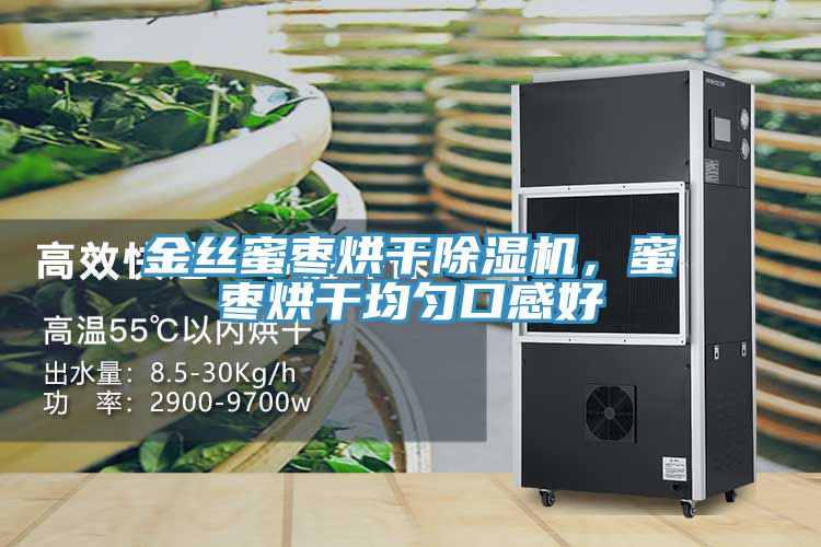 金丝蜜枣烘干抖音成人版下载，蜜枣烘干均匀口感好