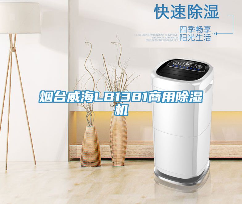 烟台威海LB1381商用抖音成人版下载