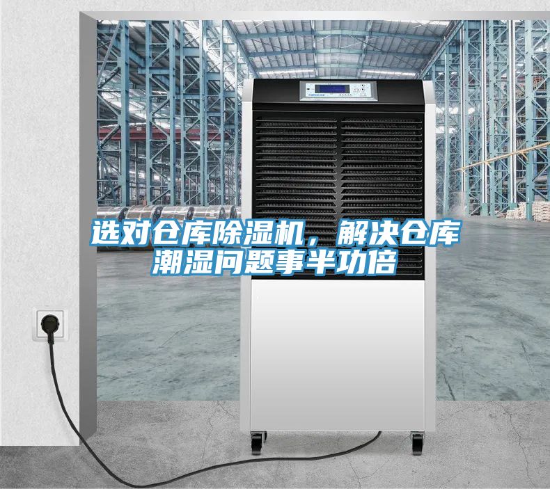 选对仓库抖音成人版下载，解决仓库潮湿问题事半功倍