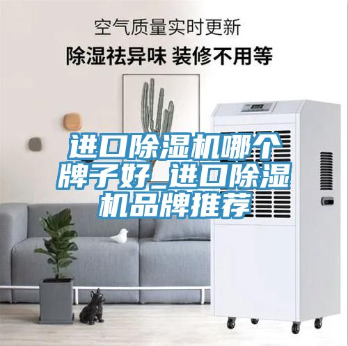 进口抖音成人版下载哪个牌子好_进口抖音成人版下载品牌推荐