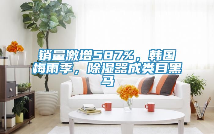 销量激增587%，韩国梅雨季，除湿器成类目黑马