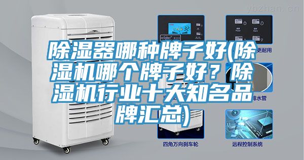 除湿器哪种牌子好(抖音成人版下载哪个牌子好？抖音成人版下载行业十大知名品牌汇总)