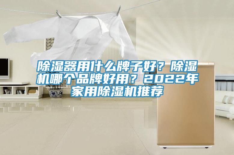 除湿器用什么牌子好？抖音成人版下载哪个品牌好用？2022年家用抖音成人版下载推荐