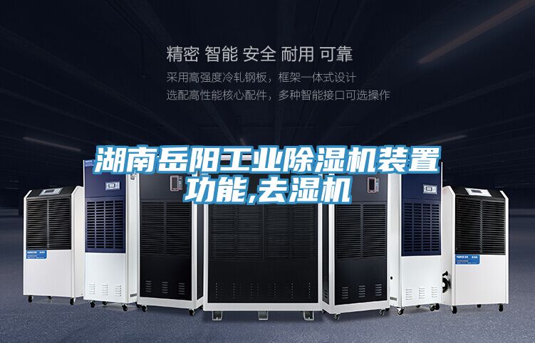 湖南岳阳工业抖音成人版下载装置功能,去湿机