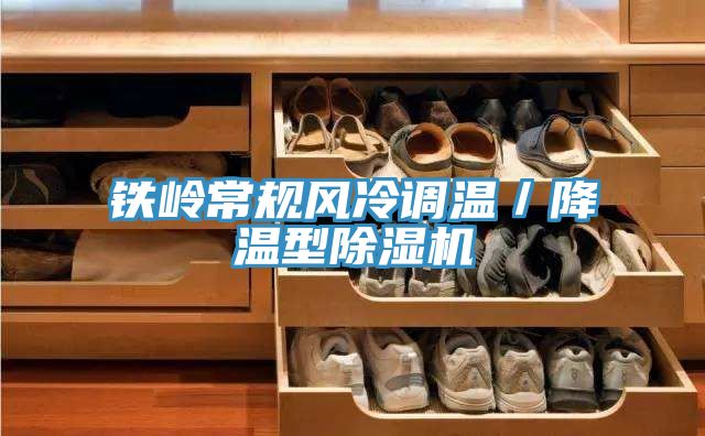 铁岭常规风冷调温／降温型抖音成人版下载