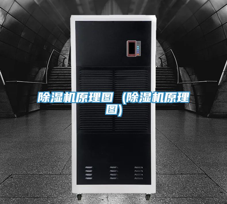 抖音成人版下载原理图 (抖音成人版下载原理图)