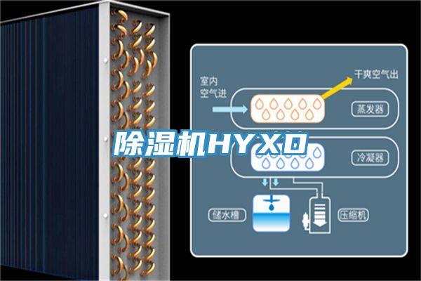 抖音成人版下载HYXD