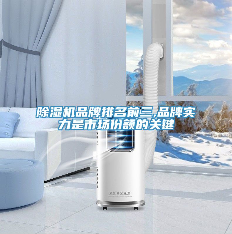 抖音成人版下载品牌排名前三,品牌实力是市场份额的关键