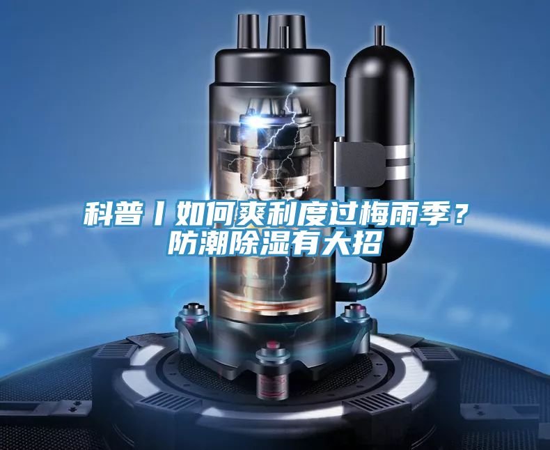 科普丨如何爽利度过梅雨季？防潮除湿有大招