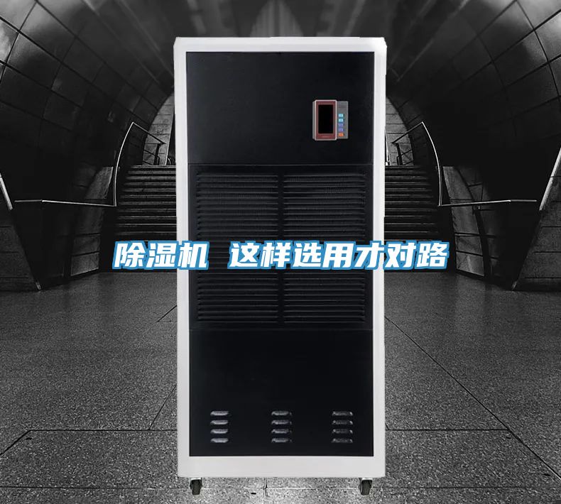 抖音成人版下载 这样选用才对路