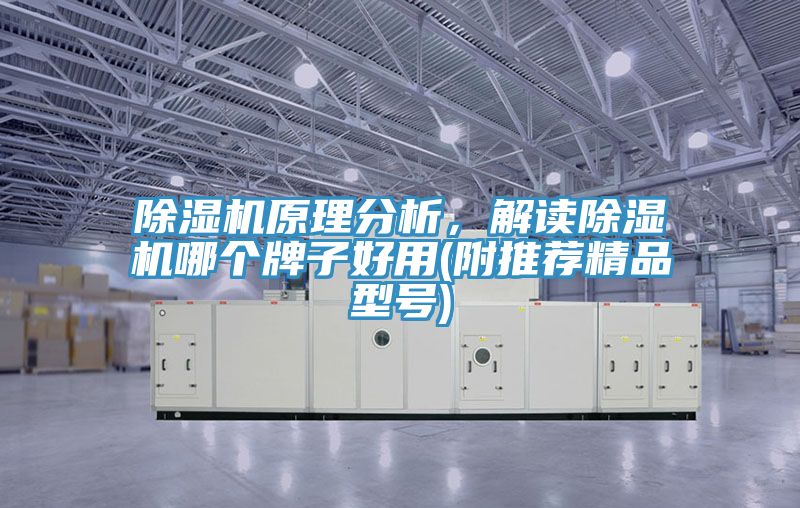 抖音成人版下载原理分析，解读抖音成人版下载哪个牌子好用(附推荐精品型号)