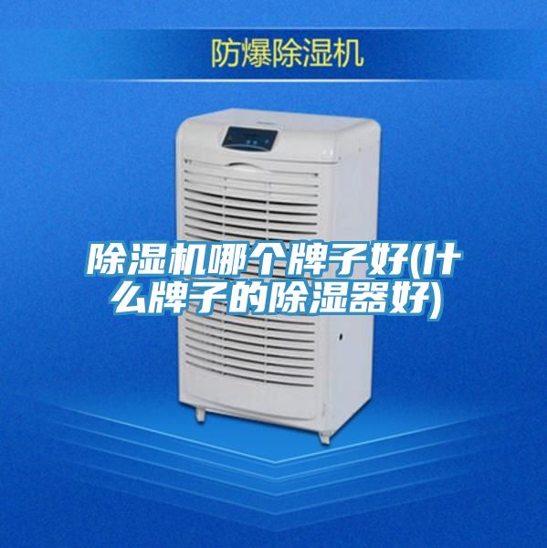 抖音成人版下载哪个牌子好(什么牌子的除湿器好)