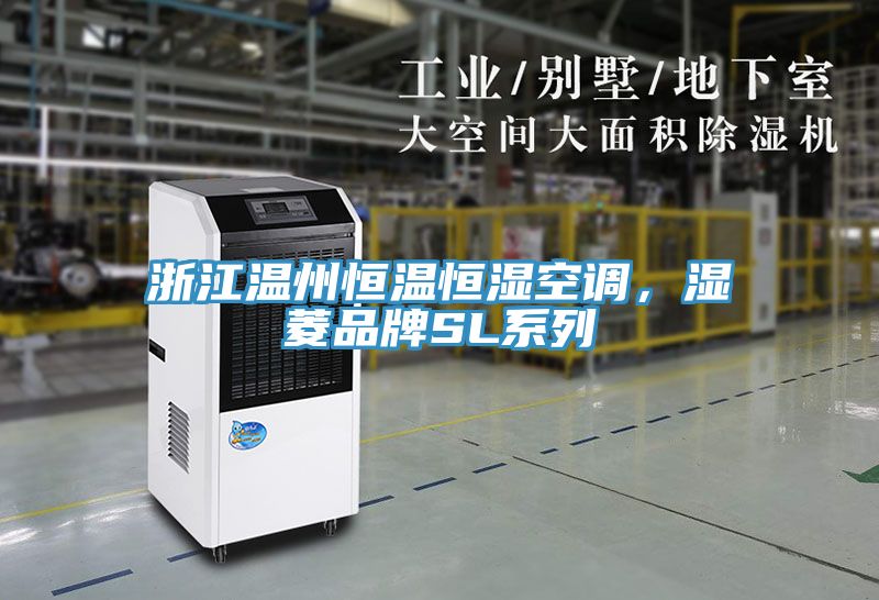 浙江温州恒温恒湿空调，湿菱品牌SL系列