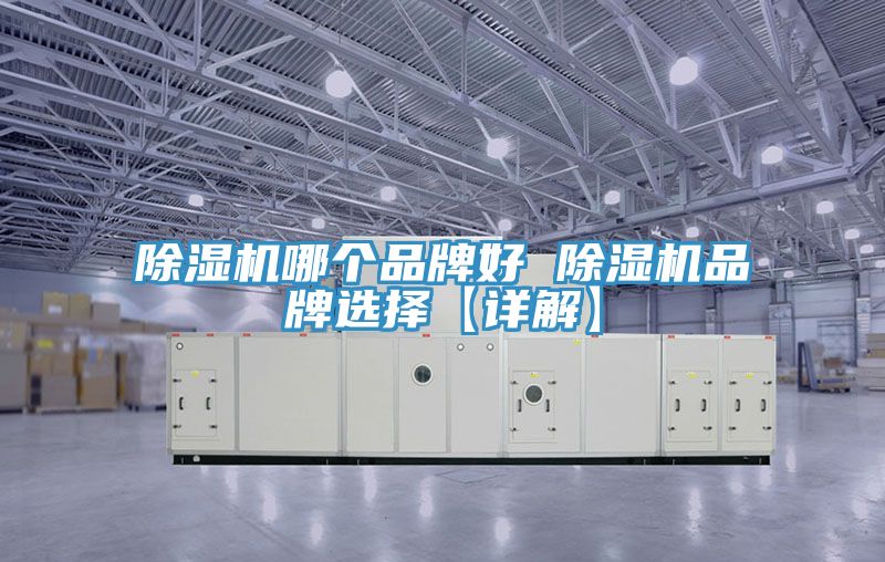 抖音成人版下载哪个品牌好 抖音成人版下载品牌选择【详解】