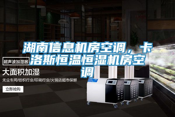 湖南信息机房空调，卡洛斯恒温恒湿机房空调