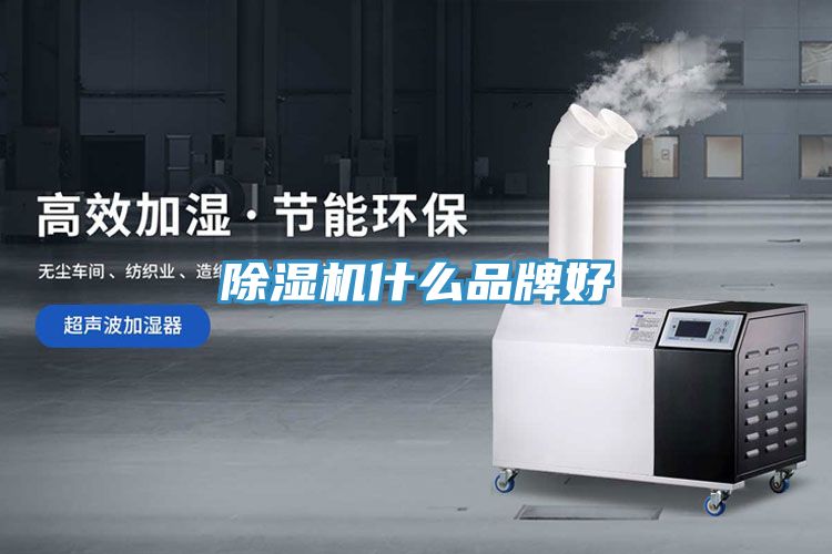 抖音成人版下载什么品牌好