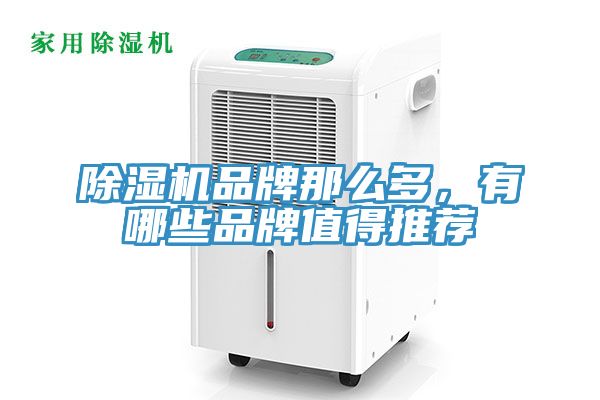 抖音成人版下载品牌那么多，有哪些品牌值得推荐