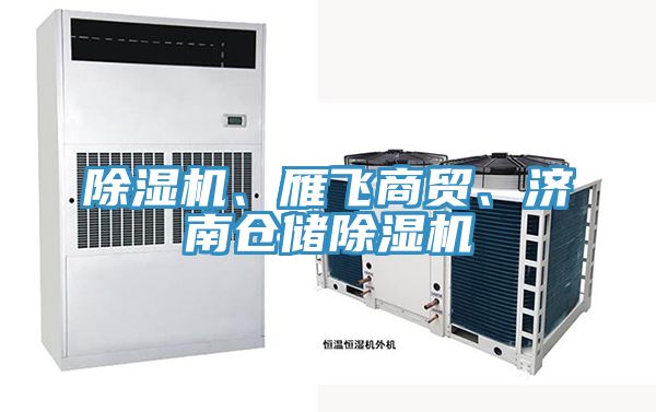 抖音成人版下载、雁飞商贸、济南仓储抖音成人版下载