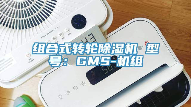 组合式转轮抖音成人版下载 型号：GMS-机组