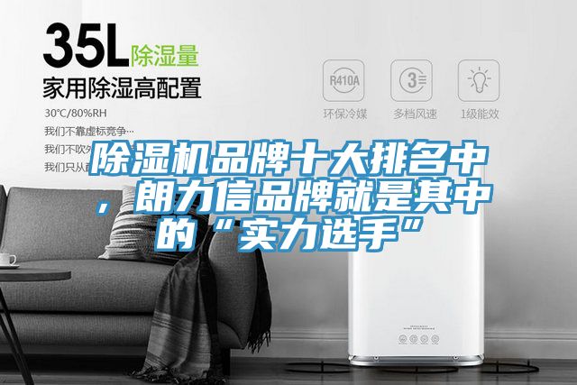 抖音成人版下载品牌十大排名中，朗力信品牌就是其中的“实力选手”