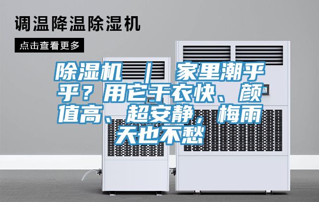 抖音成人版下载 ｜ 家里潮乎乎？用它干衣快、颜值高、超安静，梅雨天也不愁