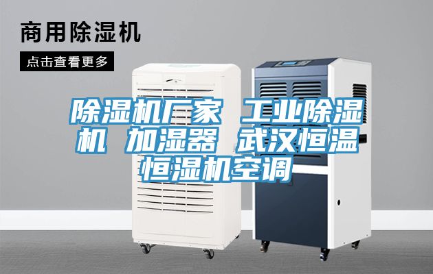 抖音成人版下载厂家 工业抖音成人版下载 加湿器 武汉恒温恒湿机空调