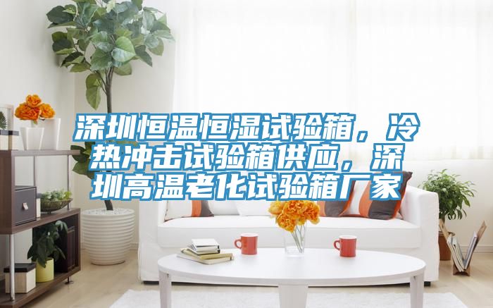 深圳恒温恒湿试验箱，冷热冲击试验箱供应，深圳高温老化试验箱厂家