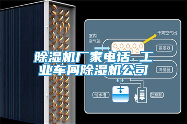 抖音成人版下载厂家电话 工业车间抖音成人版下载公司