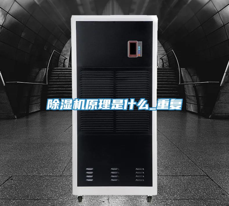 抖音成人版下载原理是什么_重复