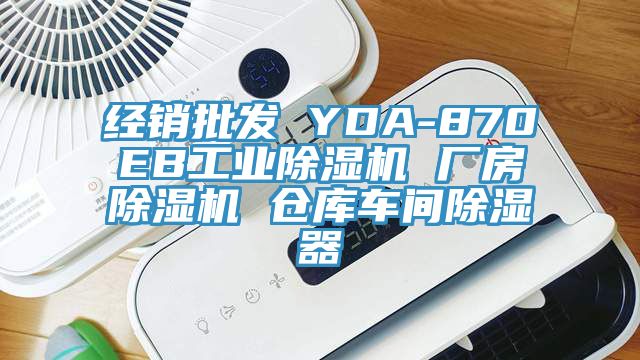经销批发 YDA-870EB工业抖音成人版下载 厂房抖音成人版下载 仓库车间除湿器