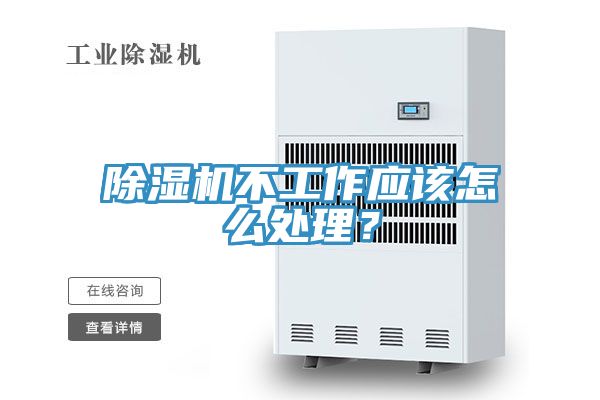 抖音成人版下载不工作应该怎么处理？