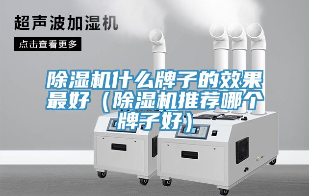 抖音成人版下载什么牌子的效果最好（抖音成人版下载推荐哪个牌子好）