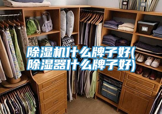 抖音成人版下载什么牌子好(除湿器什么牌子好)