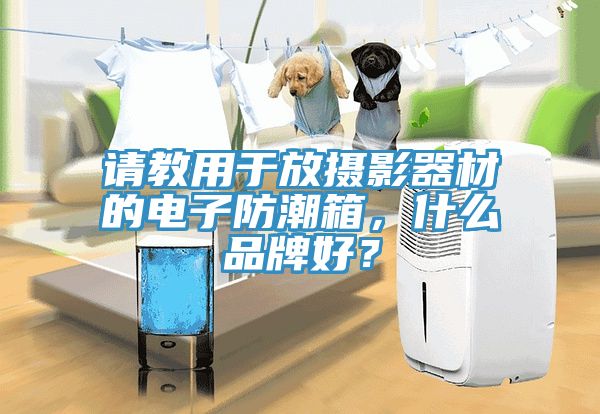 请教用于放摄影器材的电子防潮箱，什么品牌好？