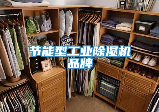 节能型工业抖音成人版下载品牌
